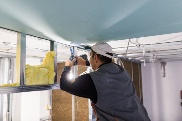 Best Commercial Insulation in Del Aire, CA