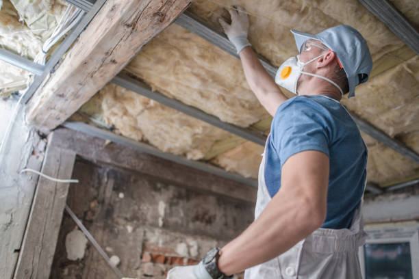 Best Specialty Insulation in Del Aire, CA